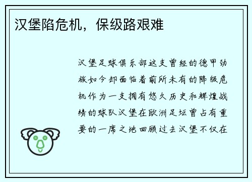 汉堡陷危机，保级路艰难