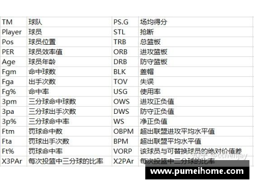 NBA球员合同：全面解析薪资、条款和选项